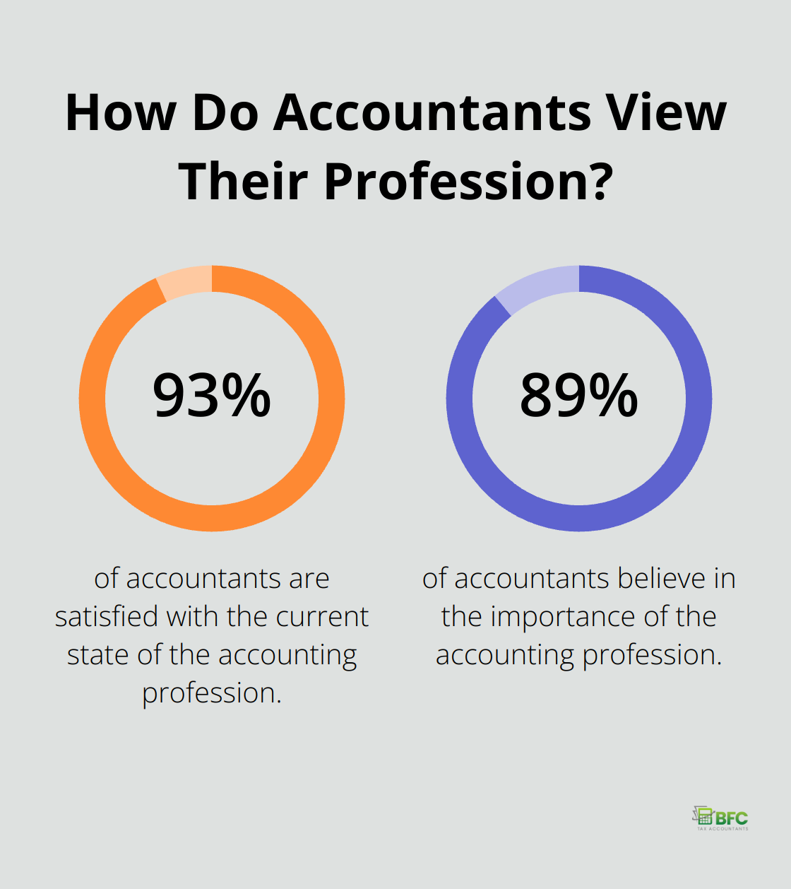 Infographic: How Do Accountants View Their Profession? - bookkeeping clean up services