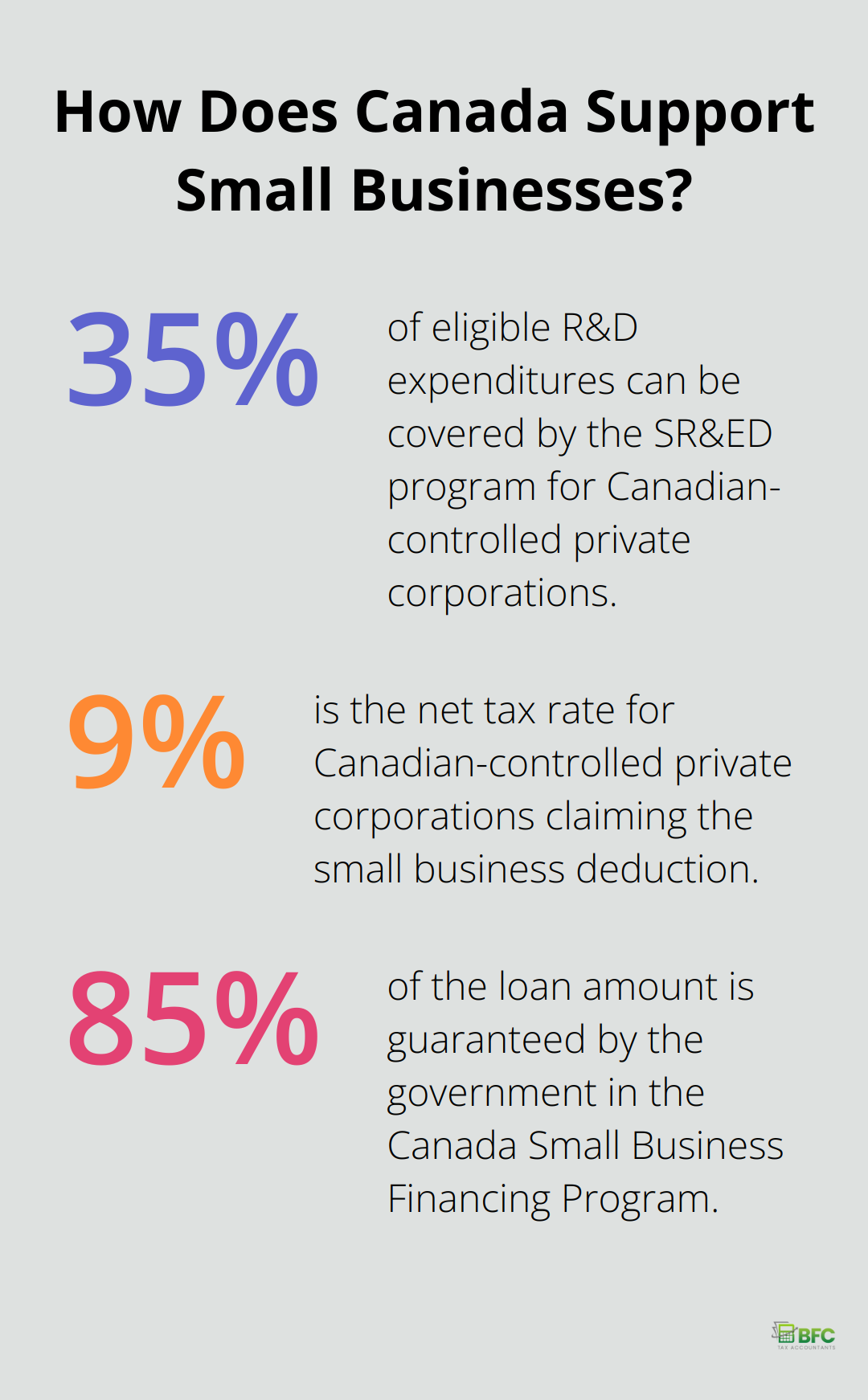 Infographic: How Does Canada Support Small Businesses?