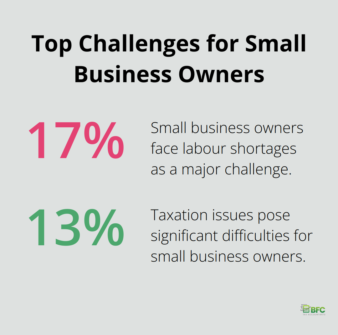 A percentage chart showing the top two challenges for small business owners: 17% face labour shortages and 13% struggle with taxation issues. - self employment income expense tracking worksheet excel